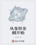 呆头呆脑的小金鹅